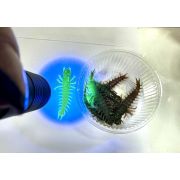 Наживка (твистер)  сороконожка  цвет махаон  HIGH FLOATER HGM3-08